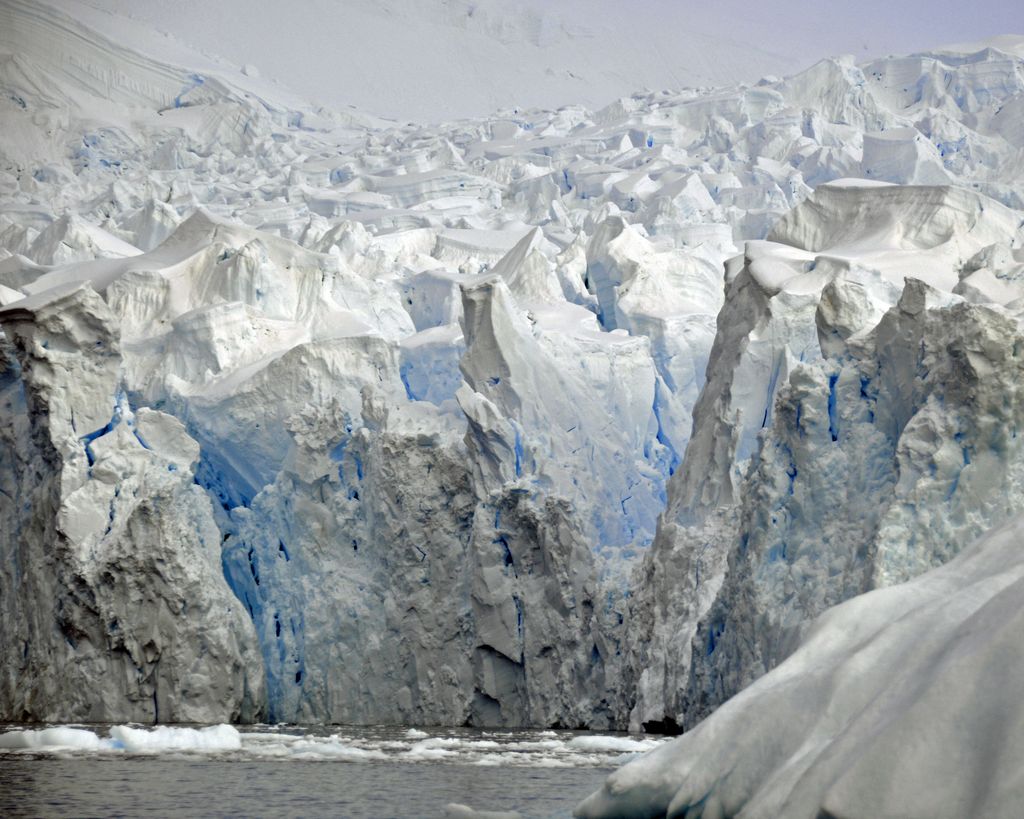 Mit der MS Delphin nach Falkland und in die Antarktis