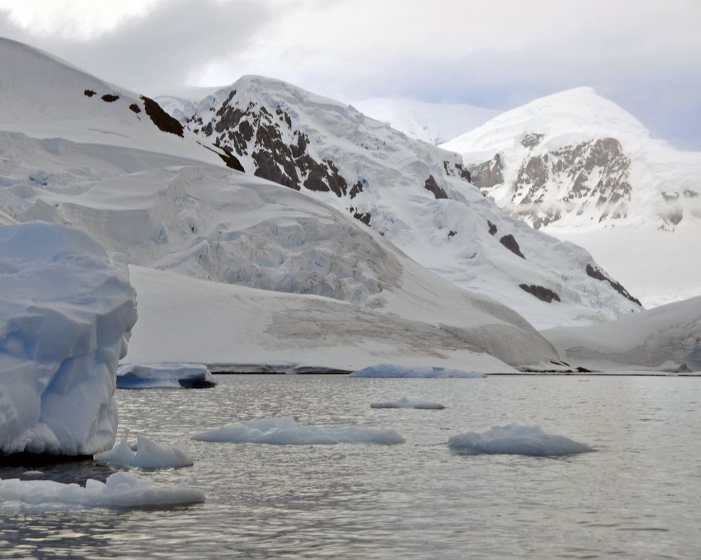 Mit der MS Delphin nach Falkland und in die Antarktis