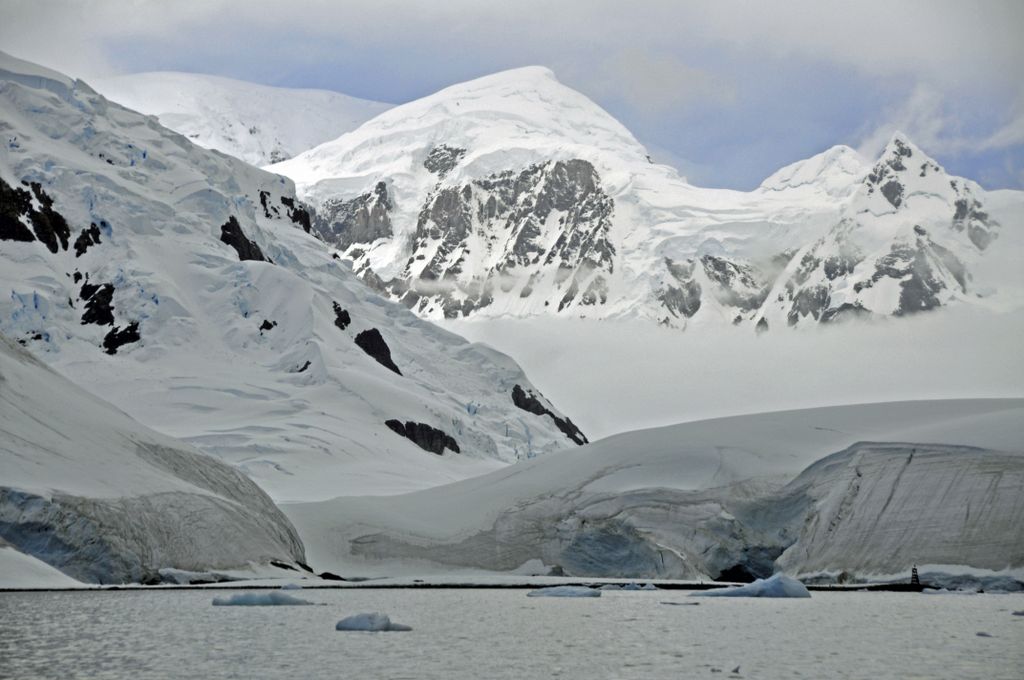 Mit der MS Delphin nach Falkland und in die Antarktis