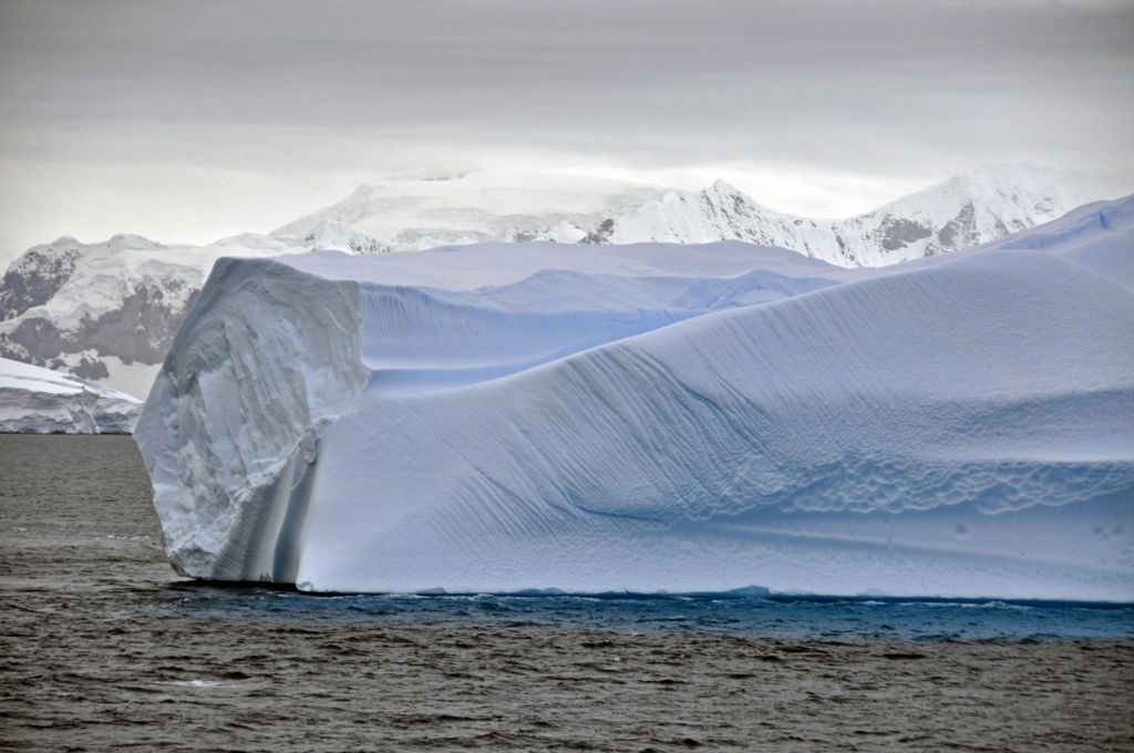 Mit der MS Delphin nach Falkland und in die Antarktis