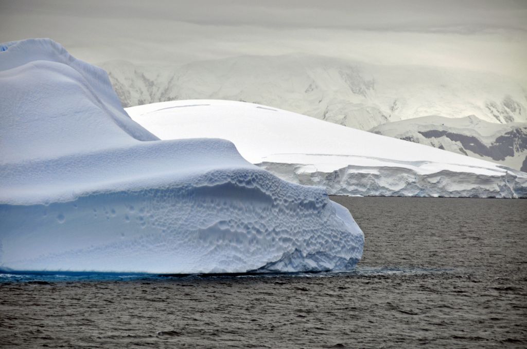 Mit der MS Delphin nach Falkland und in die Antarktis