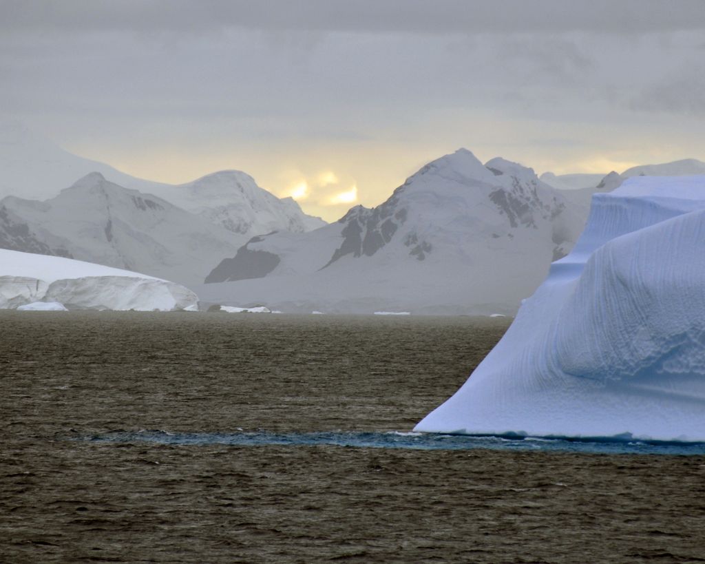 Mit der MS Delphin nach Falkland und in die Antarktis