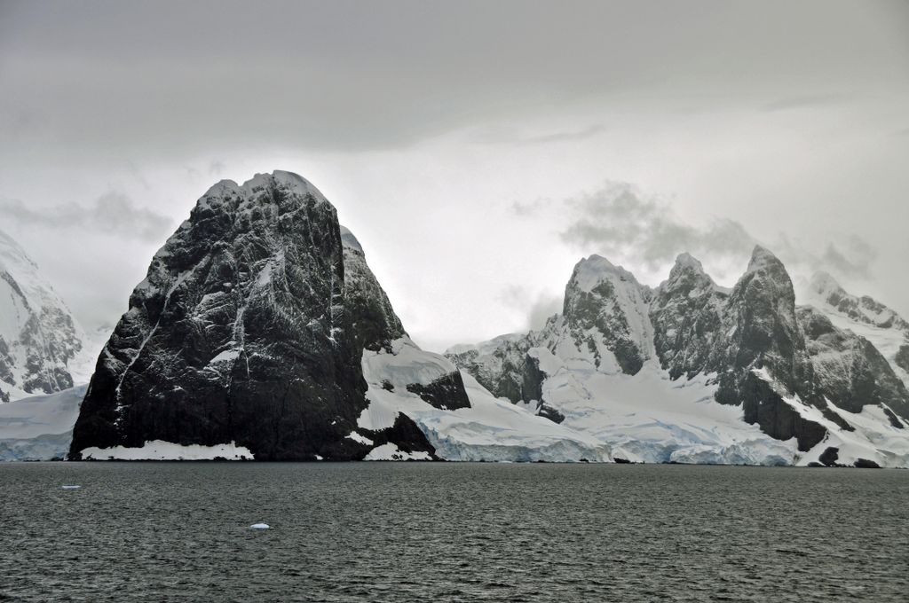 Mit der MS Delphin nach Falkland und in die Antarktis