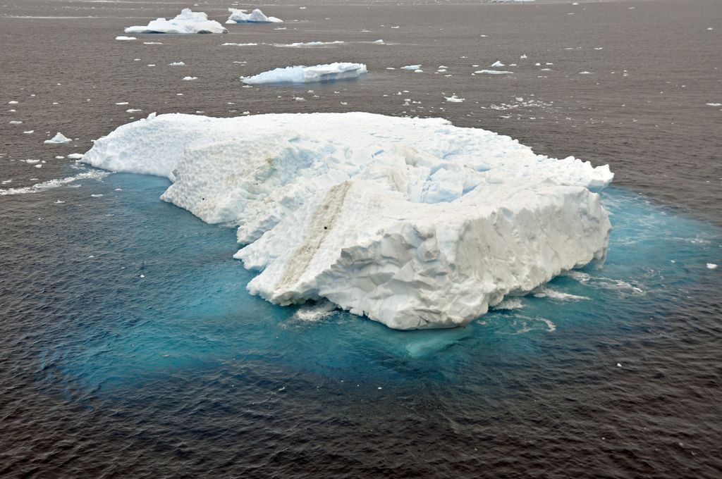 Mit der MS Delphin nach Falkland und in die Antarktis