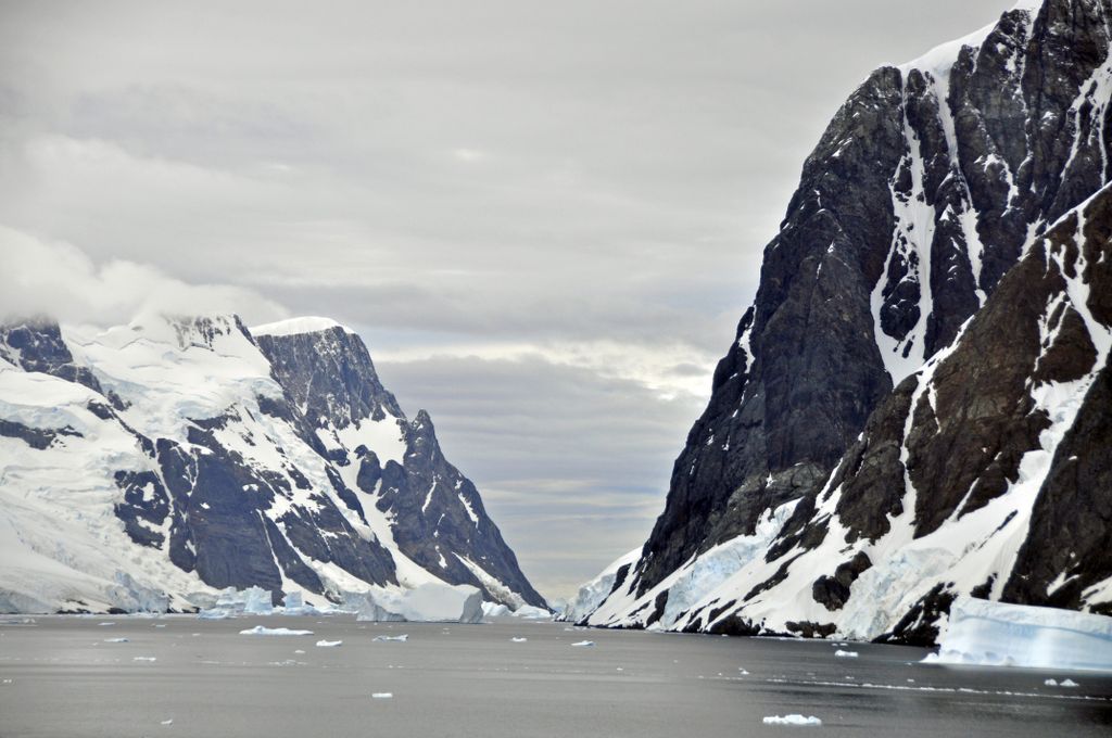 Mit der MS Delphin nach Falkland und in die Antarktis