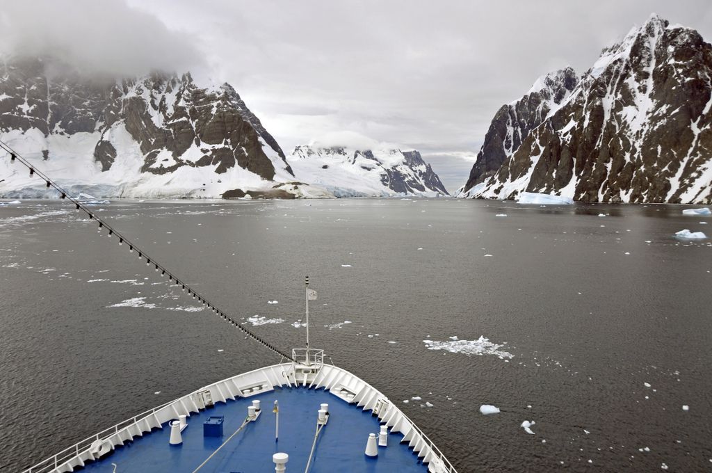 Mit der MS Delphin nach Falkland und in die Antarktis