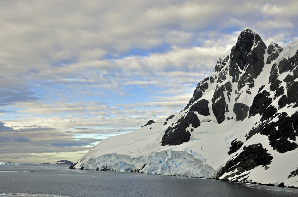 Mit der MS Delphin nach Falkland und in die Antarktis