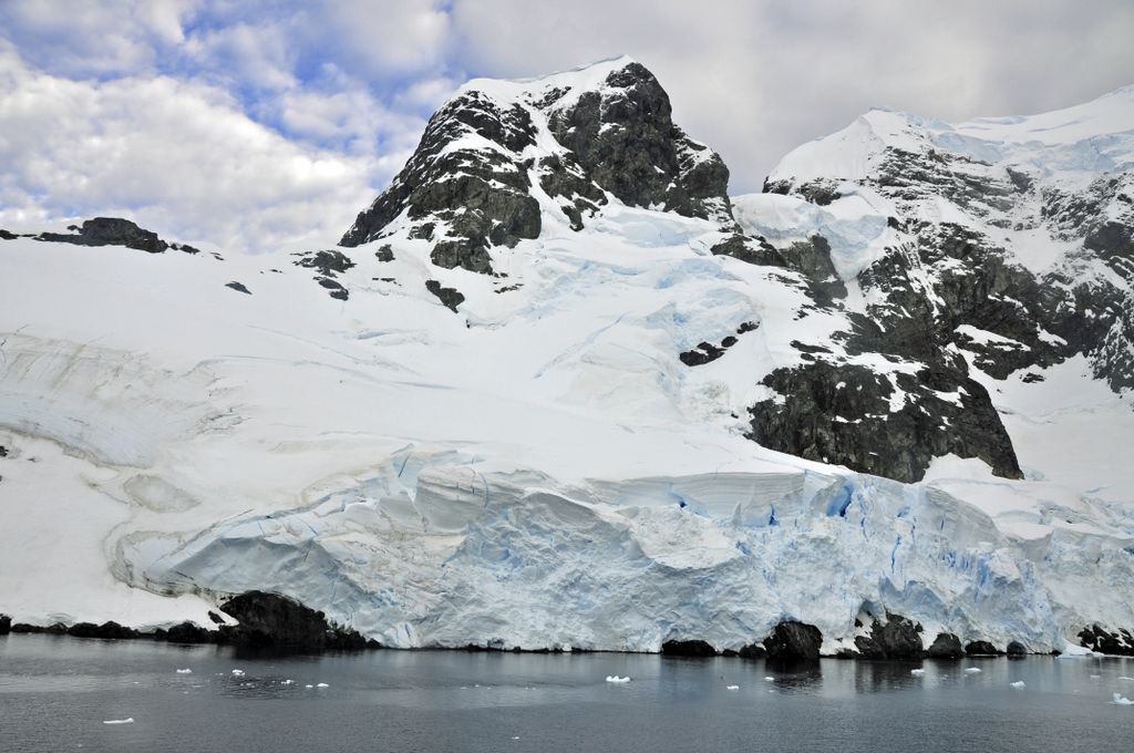 Mit der MS Delphin nach Falkland und in die Antarktis