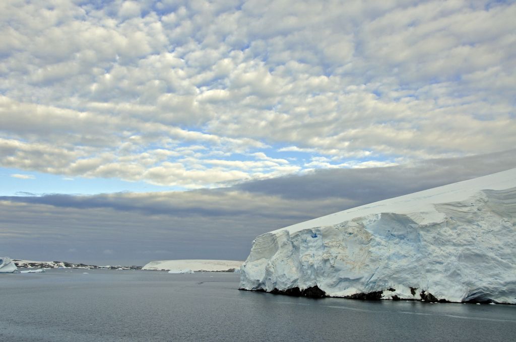 Mit der MS Delphin nach Falkland und in die Antarktis