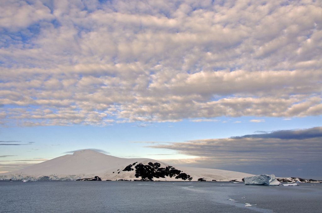 Mit der MS Delphin nach Falkland und in die Antarktis