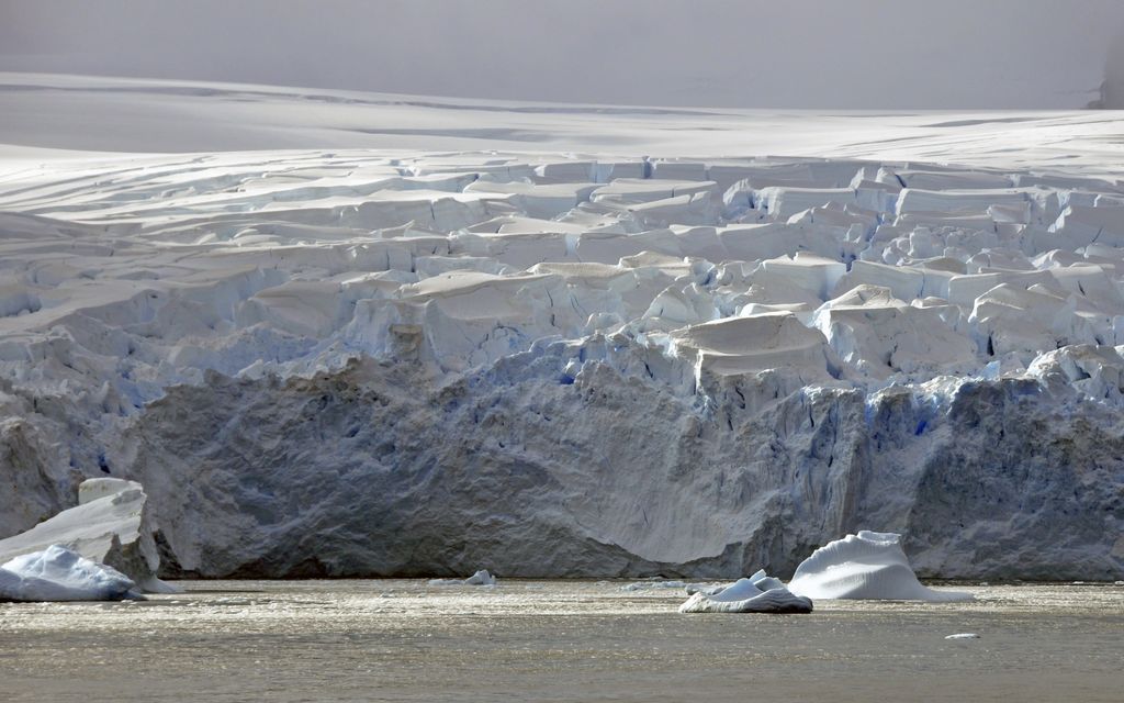 Mit der MS Delphin nach Falkland und in die Antarktis