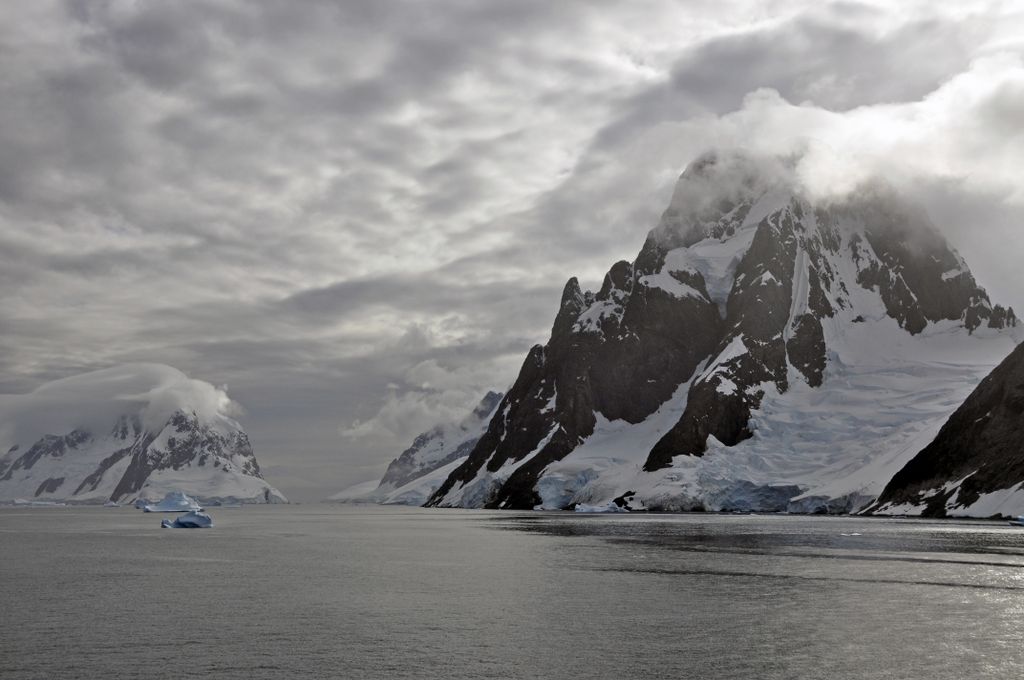 Mit der MS Delphin nach Falkland und in die Antarktis