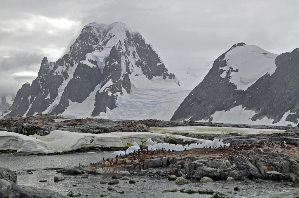 Mit der MS Delphin nach Falkland und in die Antarktis