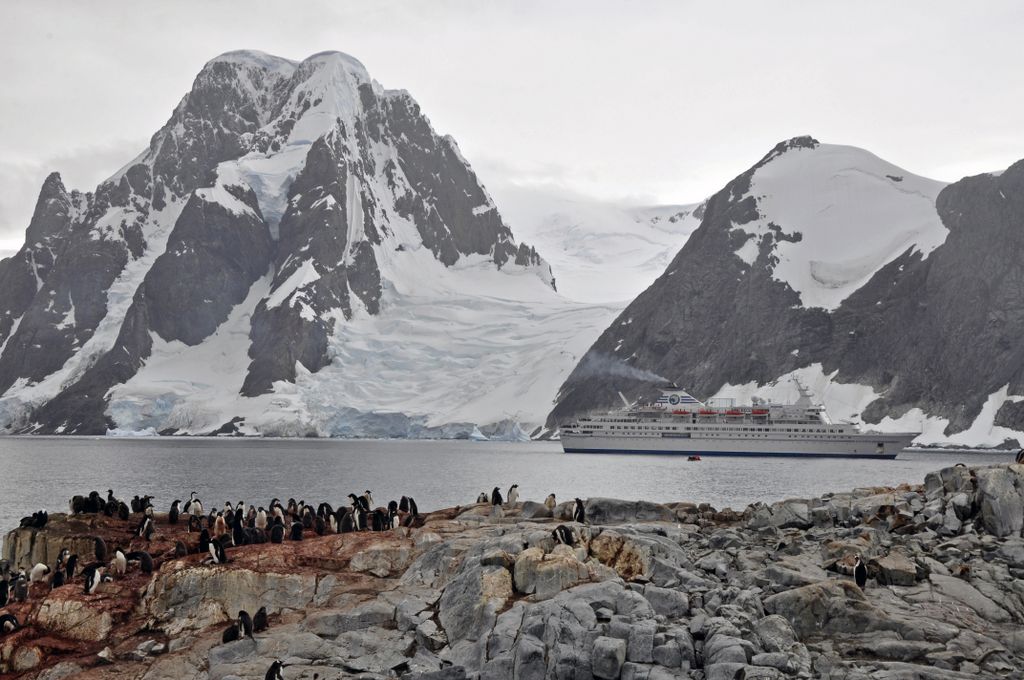 Mit der MS Delphin nach Falkland und in die Antarktis