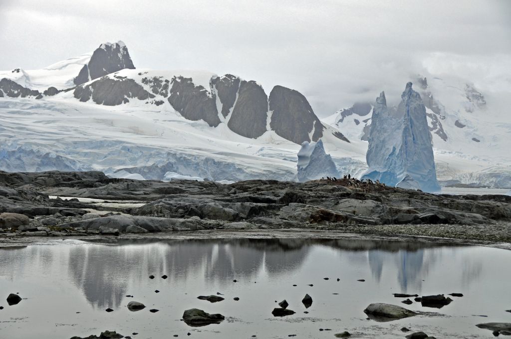 Mit der MS Delphin nach Falkland und in die Antarktis