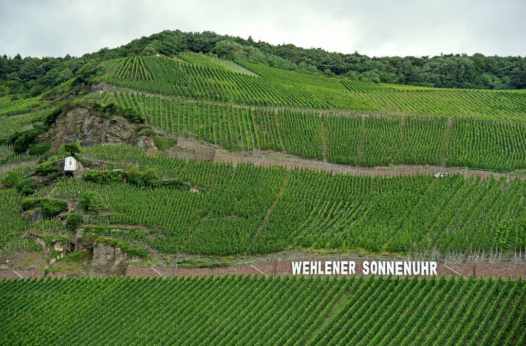 Unterwegs auf der Mosel