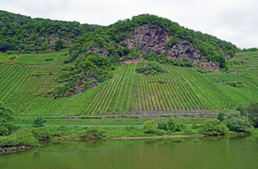 Unterwegs auf der Mosel