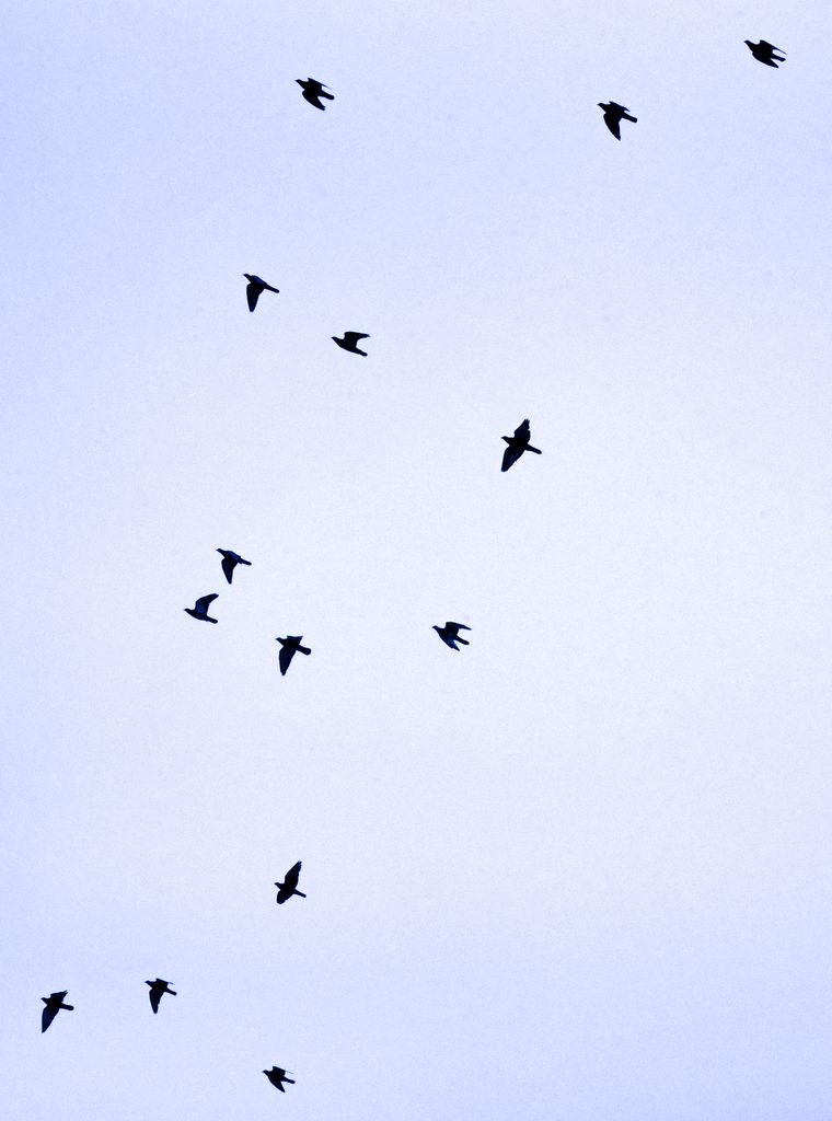 Der Himmel über Bratislava