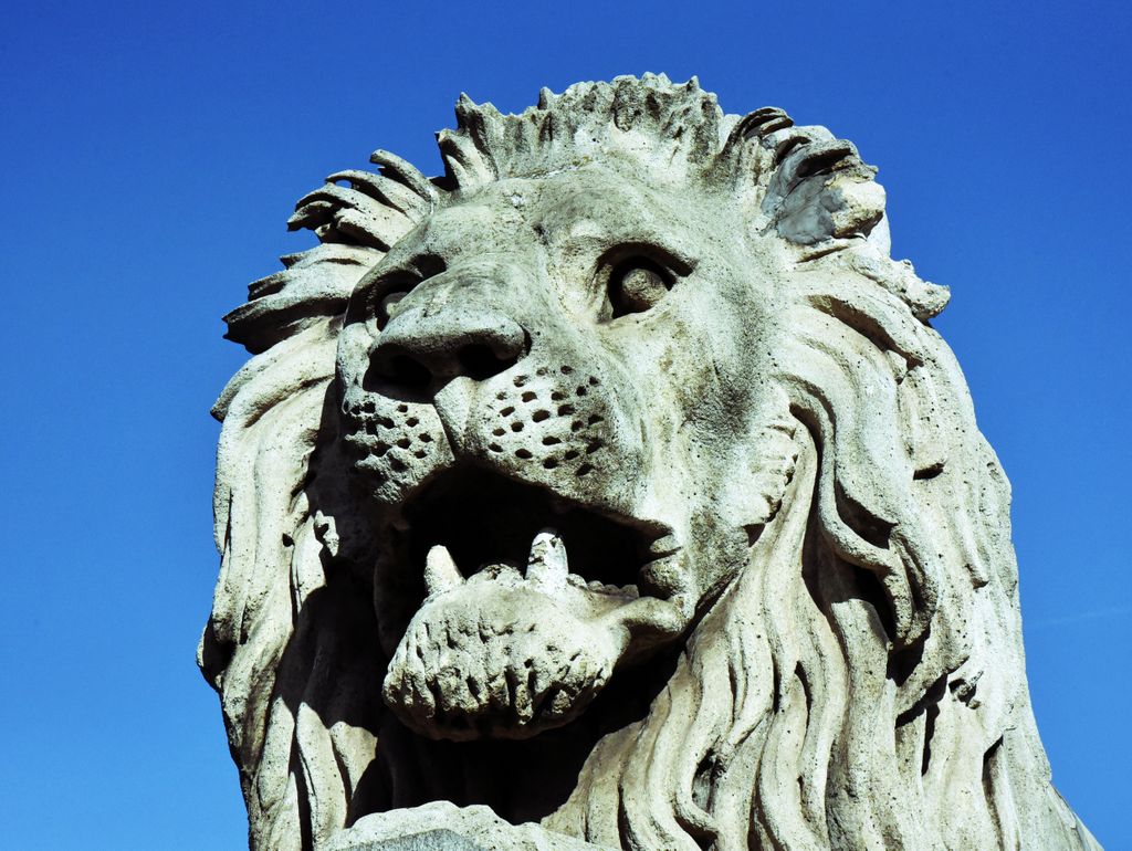 Steinlöwe auf der Kettenbrücke in Budapest