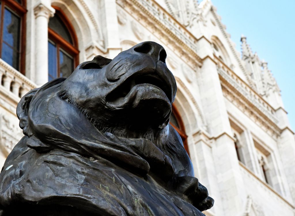Ein schwarzer Löwe in Budapest