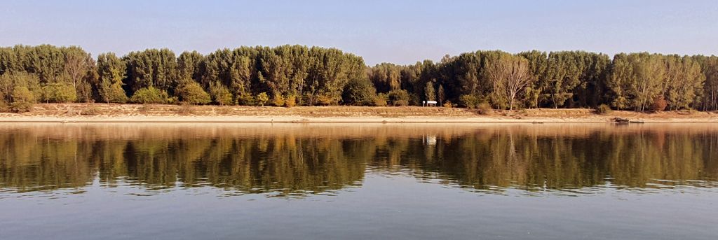 Spiegelungen auf der Donau