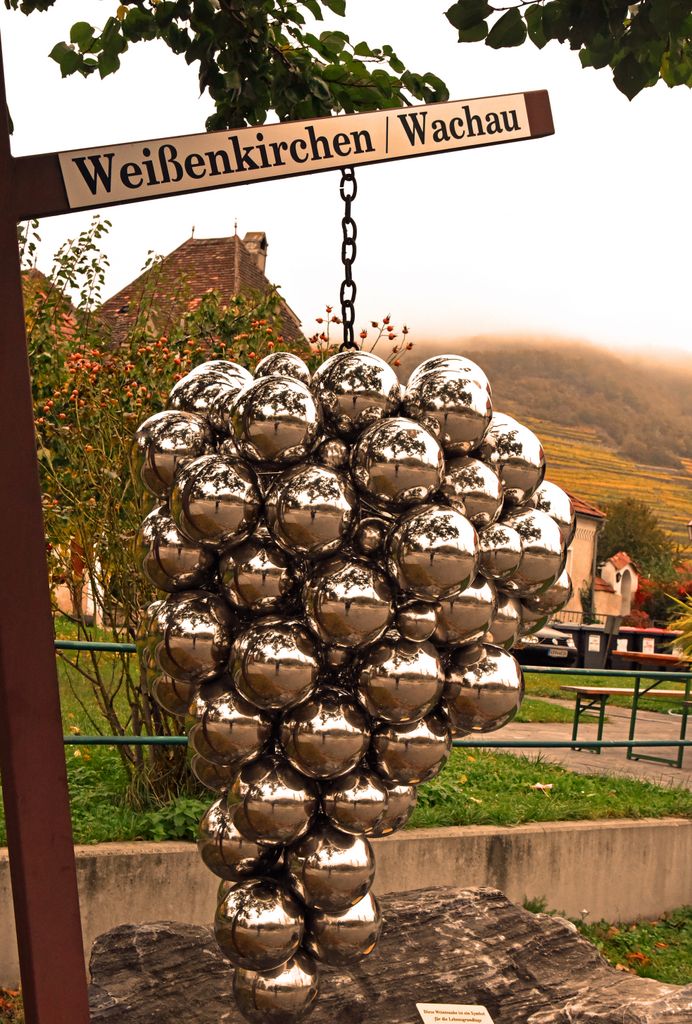 Trauben-Gruß aus Weissenkirchen