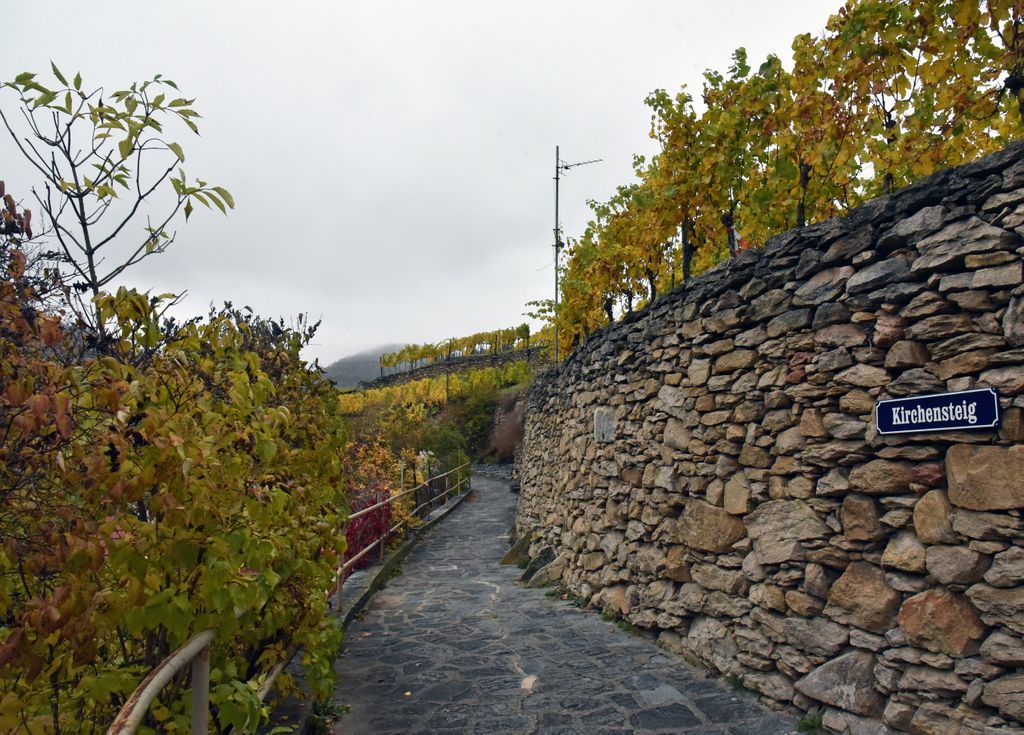 Weinberge in Weissenkirchen