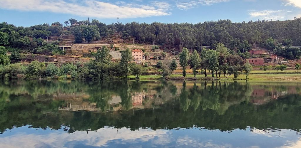 Spiegelung auf dem Douro