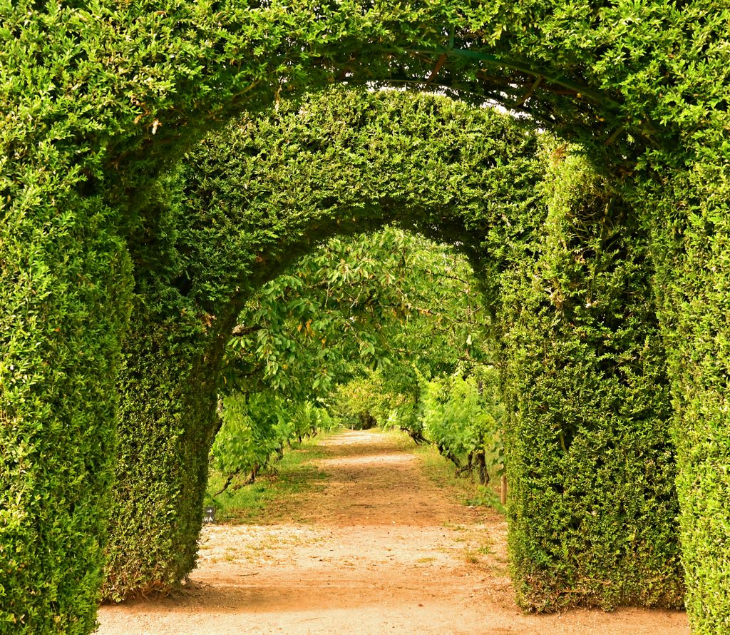 Im Garten vom Mateuspalast