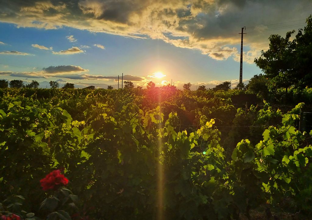 Sonnenuntergang in der Nähe der Quinta da Avessada