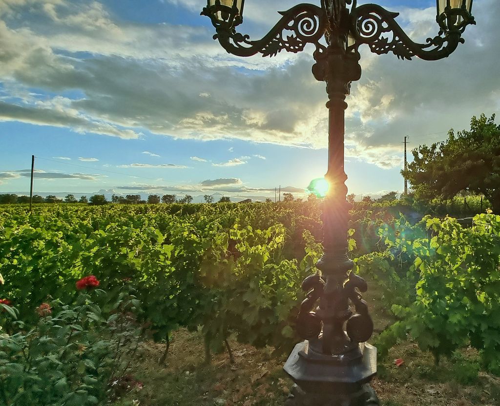 Sonnenuntergang in der Nähe der Quinta da Avessada