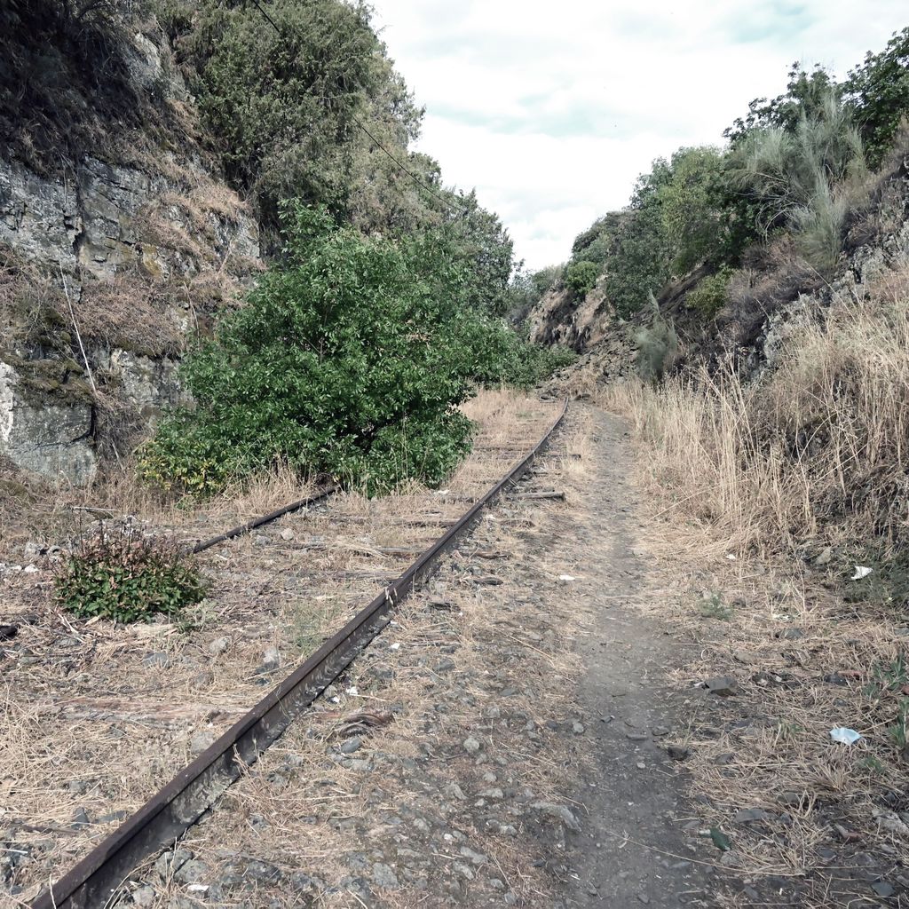 Last Train to Vega de Terrón