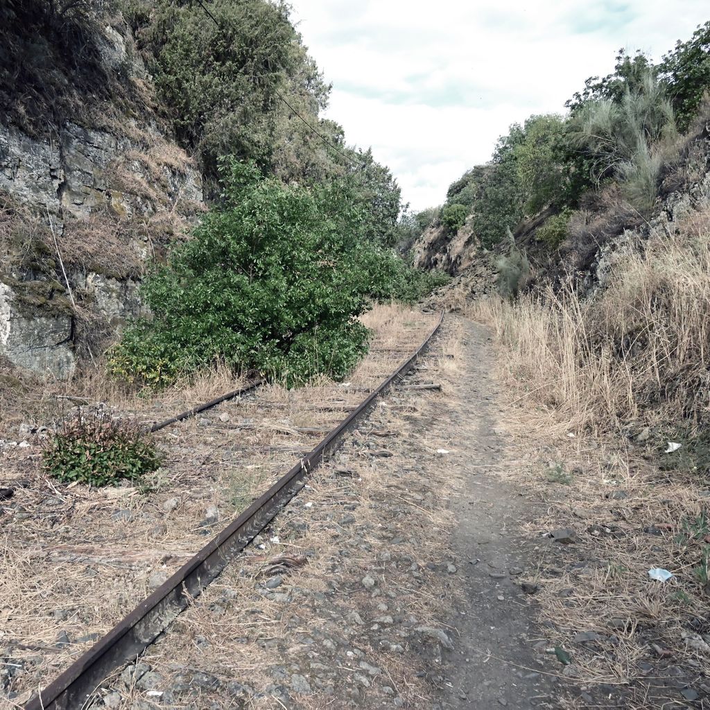 Last Train to Vega de Terrón