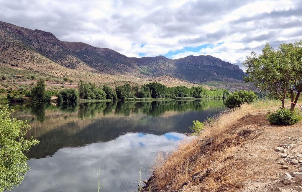 Die Flusslandschaft bei Vega de Terrón