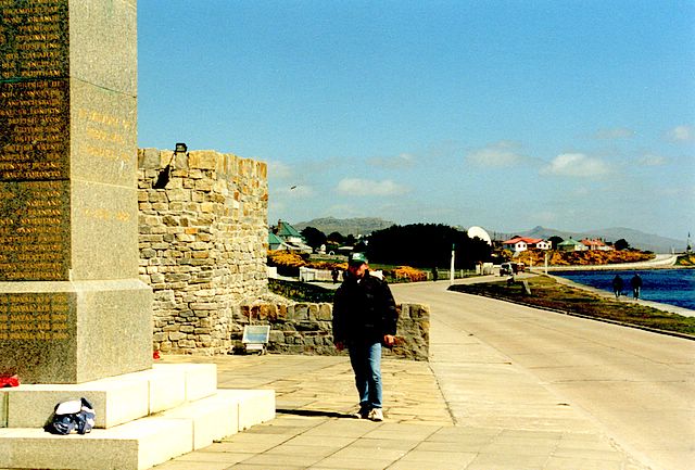 Zinni auf den Falkland Inseln