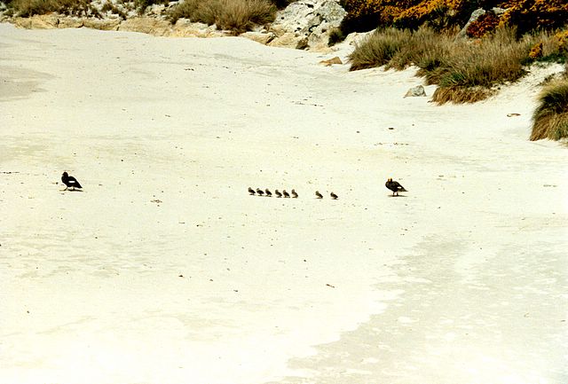 Eine Familie auf Tour