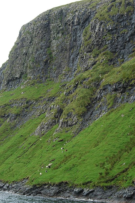 Kreuzfahrt durch Vestmannaeyjar