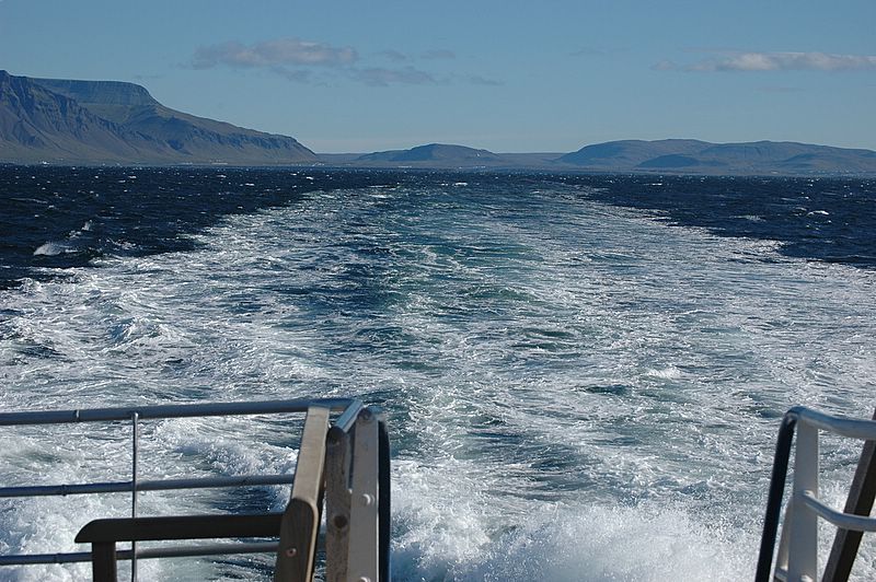 Auf Whale-Watching Tour (leider vergeblich)