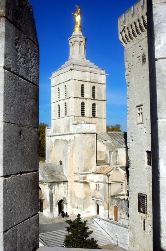 Der Notre Dame des Doms in Avignon