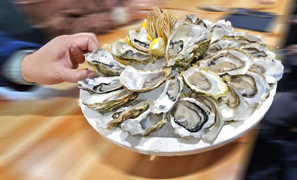 Austern in den Halles de Bacalan in Bordeaux