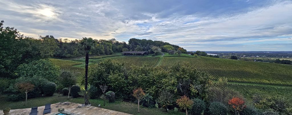 Weinberge vom Château de la Rivière