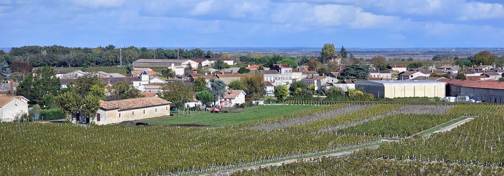 Blick auf das Weingut Château Gruaud-Larose