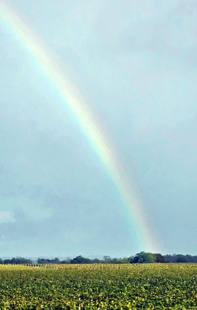 Ein Regenbogen in Frankreich im Herbst 2023