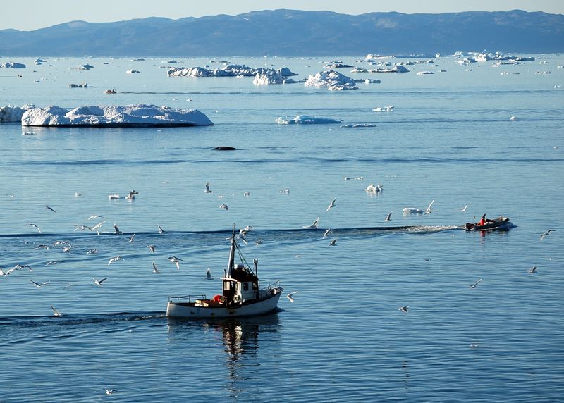 Die Bucht von Ilulissat