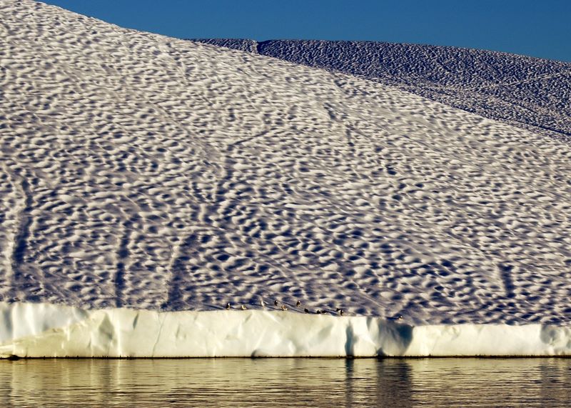 Der Eisfjord