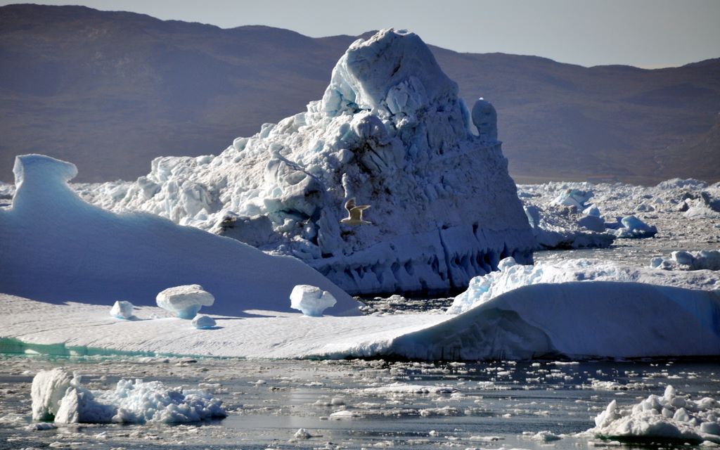 Eisberge vor Narsaq