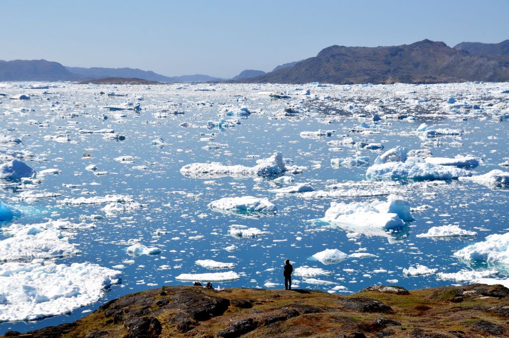 Eisberge vor Narsaq