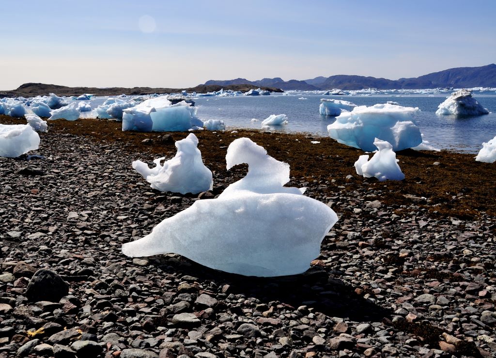 Gestrandete Eisberge, Narsaq