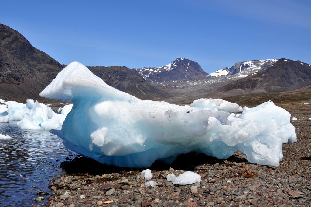 Gestrandete Eisberge, Narsaq