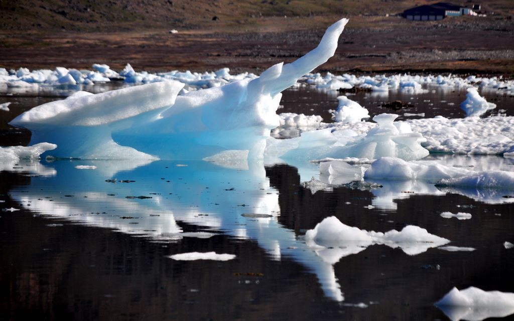 Eisberge vor Narsaq